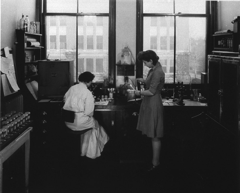 Two women in a laboratory beneath tall windows: one sits at a microscope on a dark bench, the other stands beside her holding a flask; shelves of jars and a wall of papers frame the scene.