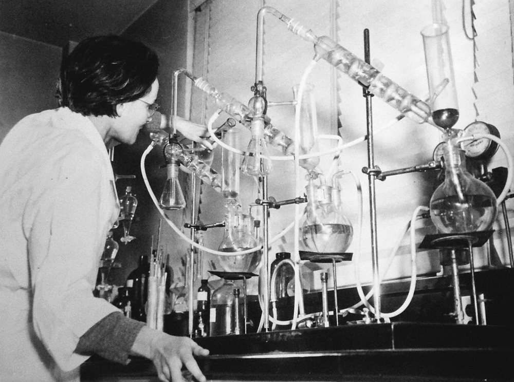 A woman in a white coat leans in to check a bench of interconnected flasks, condensers and tubing on ring stands.