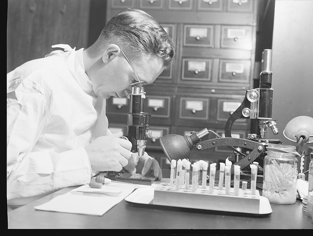 A man in a white laboratory coat bends over a monocular microscope at a wooden bench; a rack of cotton-stoppered test tubes, a second microscope, a gooseneck lamp and a glass jar of pipettes stand in front of a wall of small wooden card-file drawers. Archive photograph, 1942.