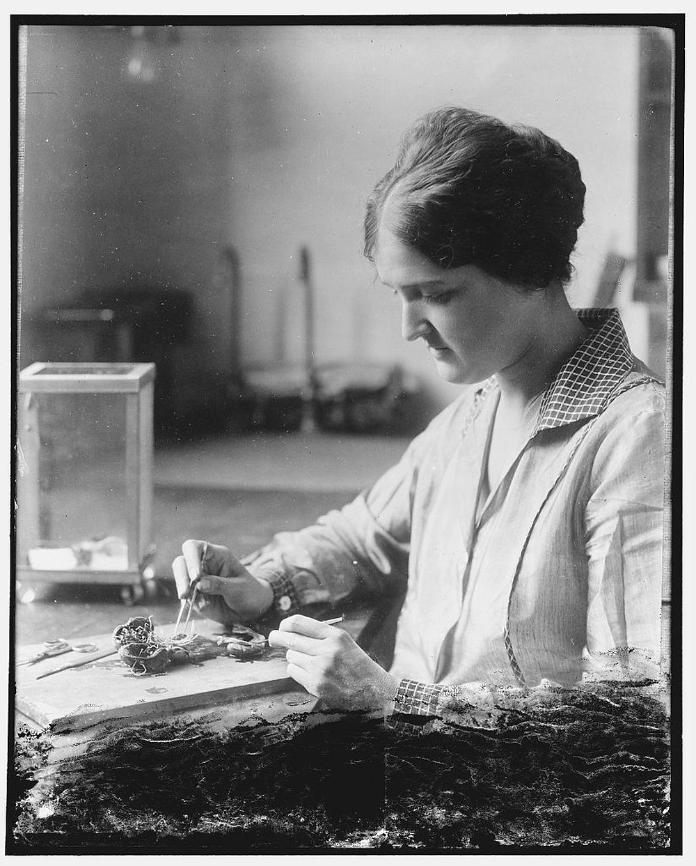 A woman in a checked-collar blouse works with fine instruments over a small specimen tray at a bench; a glass case stands behind her. Archive photograph, 1930.